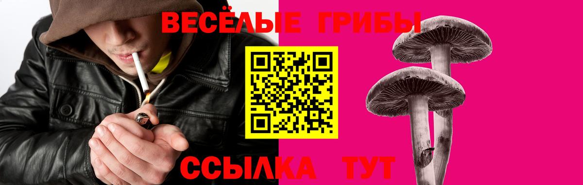 наркошоп  Галлюциногенные грибы Cubensis  Чебаркуль  Вход с VPN  Галлюциногенные грибы мухоморы 