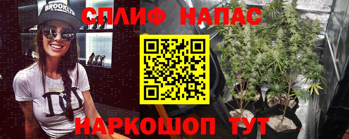 Бошки Шишки план  Вход с VPN  Чебаркуль  МАРИХУАНА White Widow 